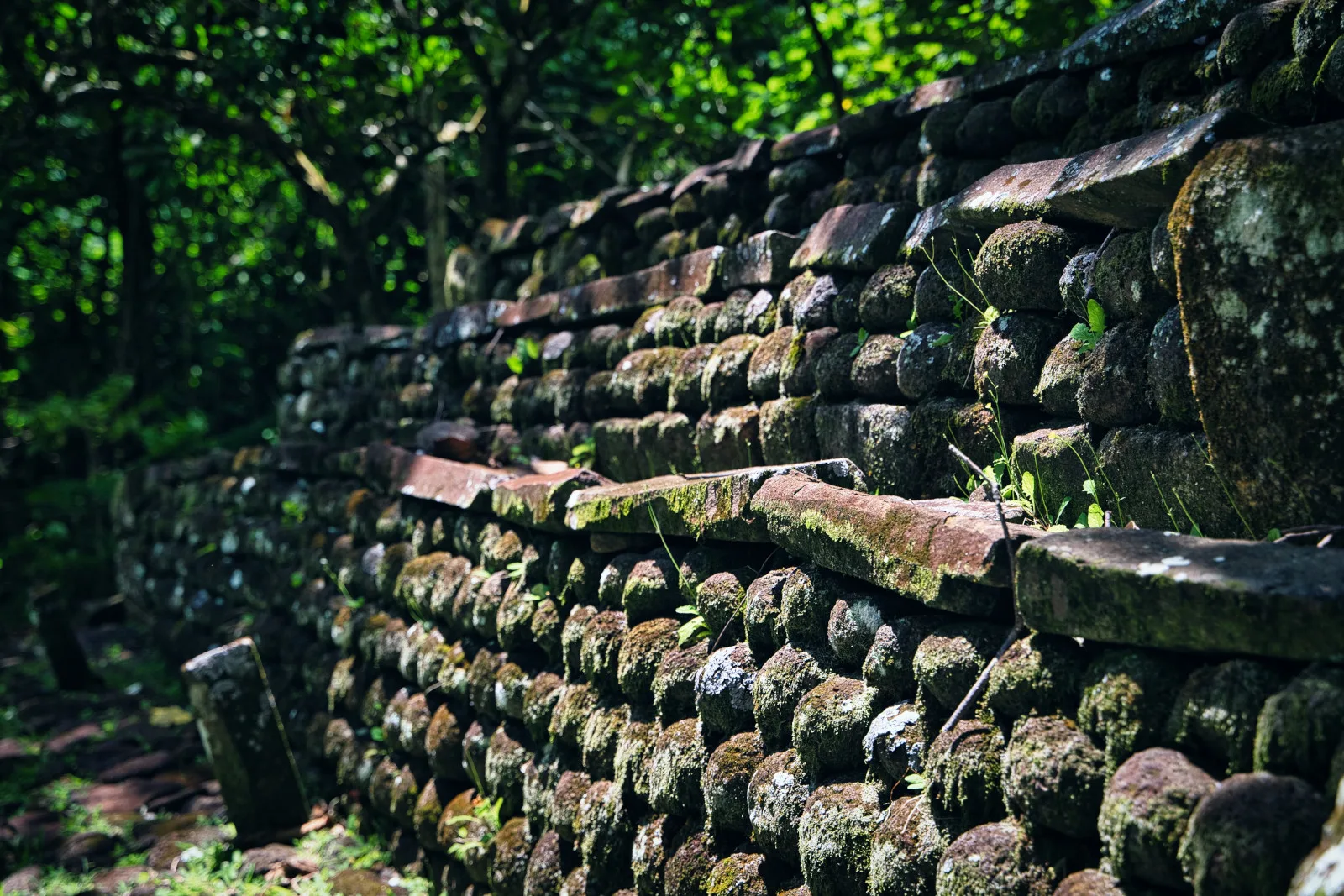 marae-vallee-opunohu-a-moorea.jpg (2.69 MB)