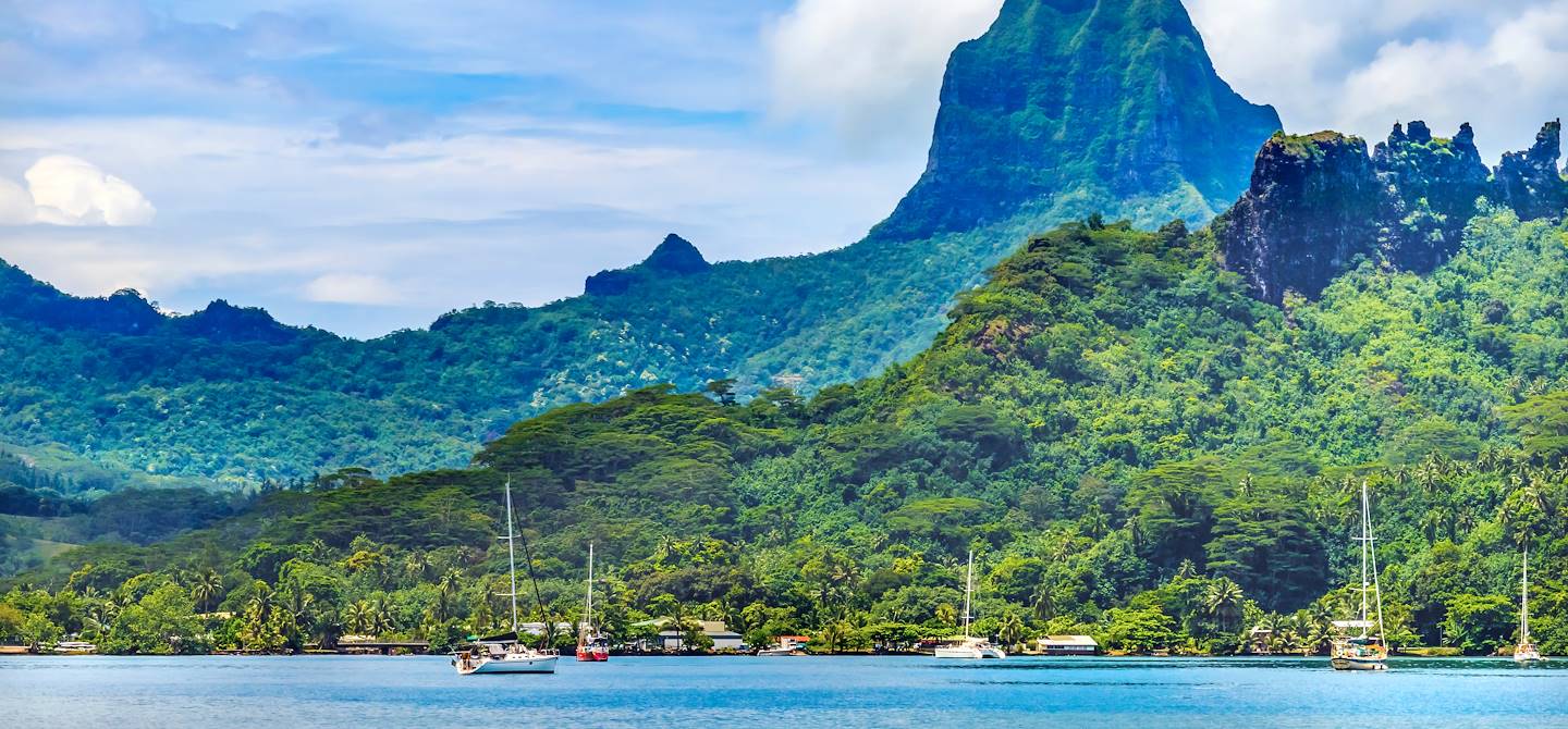 baie-de-cook-moorea.jpeg (197 KB)