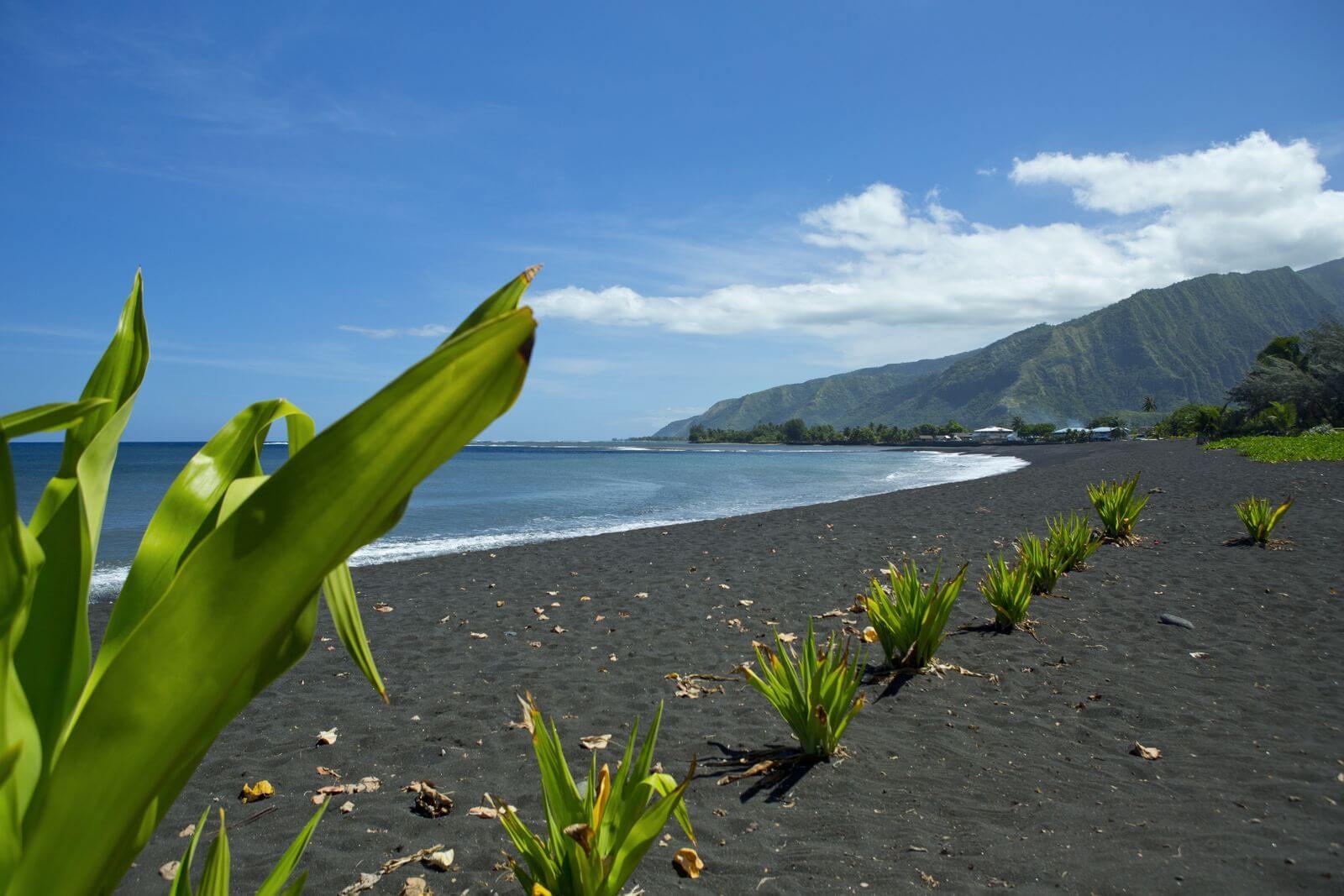 plage-de-taharuu-tahiti.jpg (166 KB)